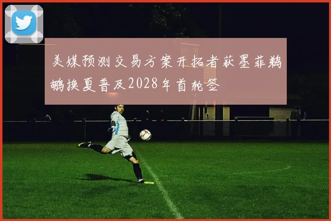 美媒预测交易方案开拓者获墨菲鹈鹕换夏普及2028年首轮签